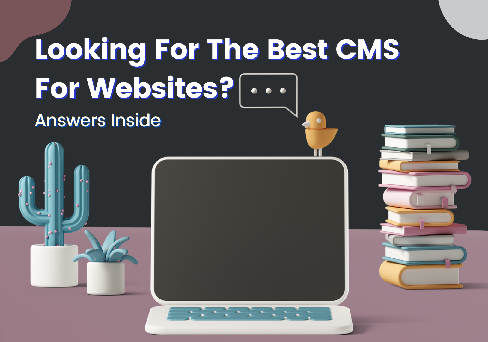 Best CMS System For Writer's Website
